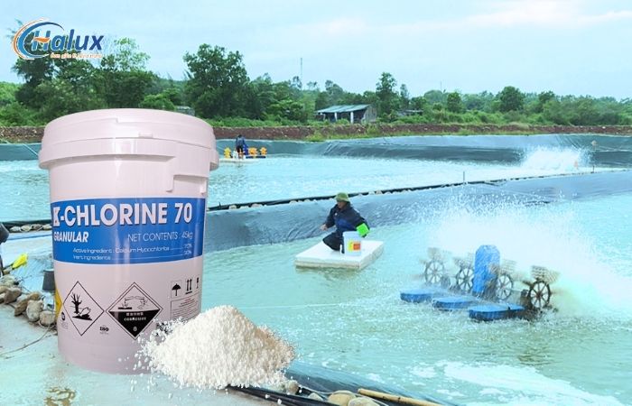 Hóa chất K-Chlorine 70 giúp khử khuẩn ao hồ nuôi trồng thủy sản