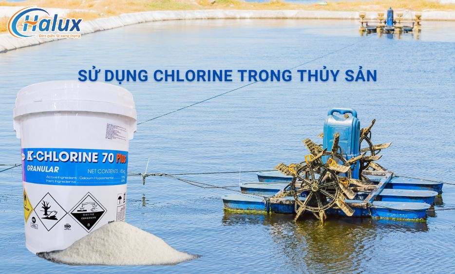 Ứng dụng của Chlorine trong thủy sản