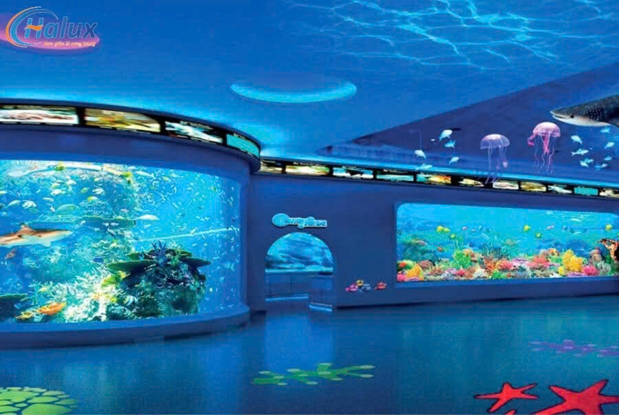 Không gian thủy xung sinh động, đẹp mắt