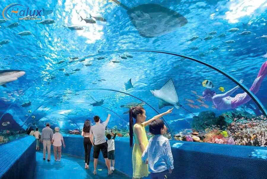 Dự án thủy cung Changsha Underwater World được hoàn thiện với hệ thống vách Acrylic trong suốt