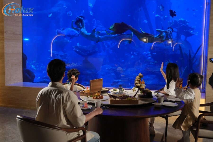 Sự chân thực đến từng cm tại thủy cung Chang Qiao Polar Ocean World 