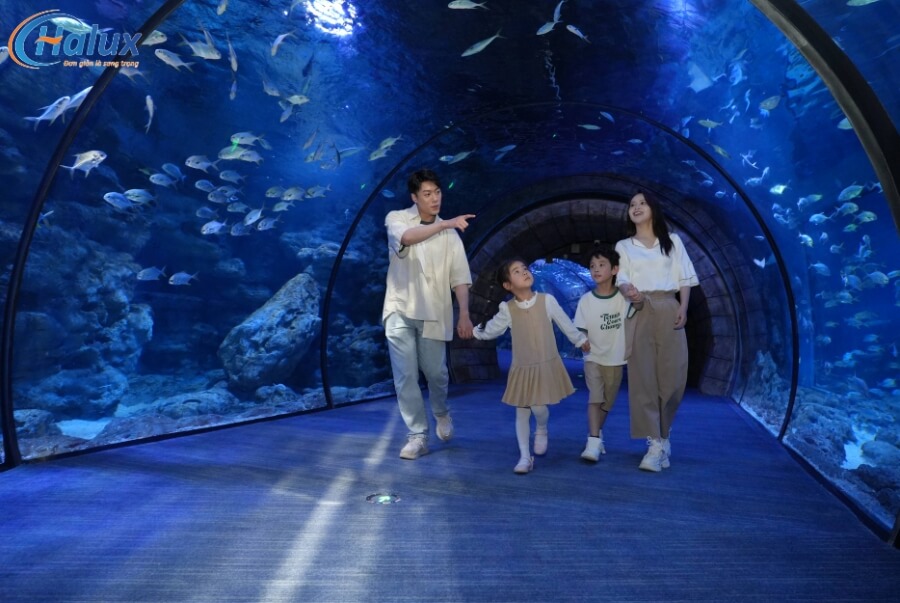 Chiêm ngưỡng sinh vật biển tại thủy cung Chang Qiao Polar Ocean World 