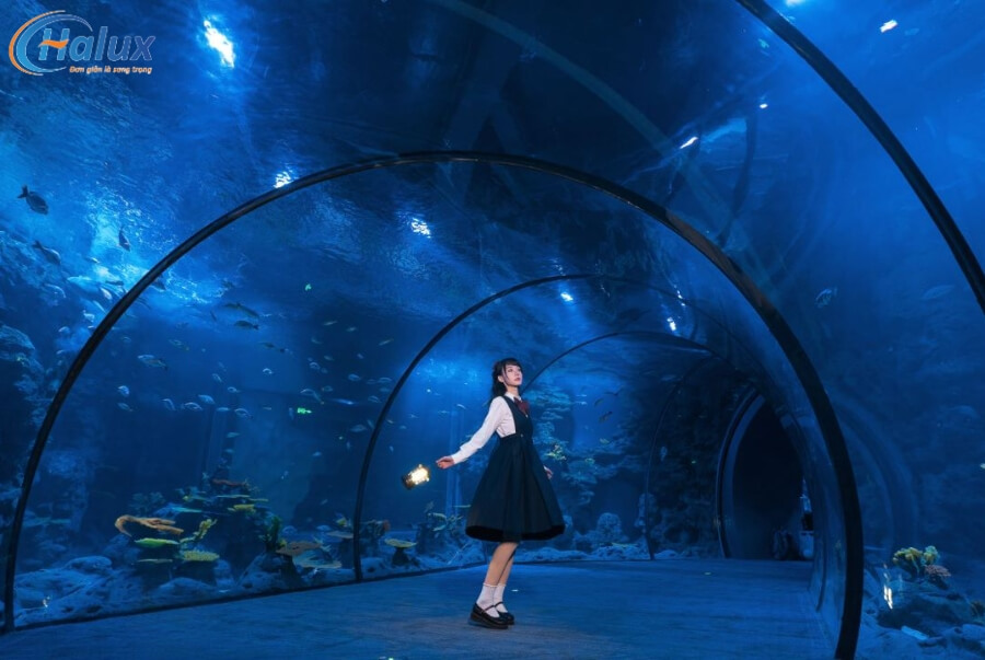 Khám phá thế giới đại dương tại thủy cung Chang Qiao Polar Ocean World 