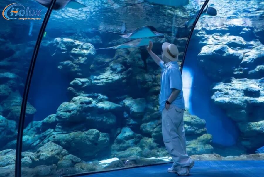 Vách Acrylic trong suốt