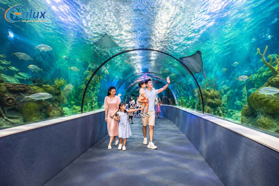 Thủy cung sau khi hoàn thiện mang đến không gian cực kỳ mãn nhãn